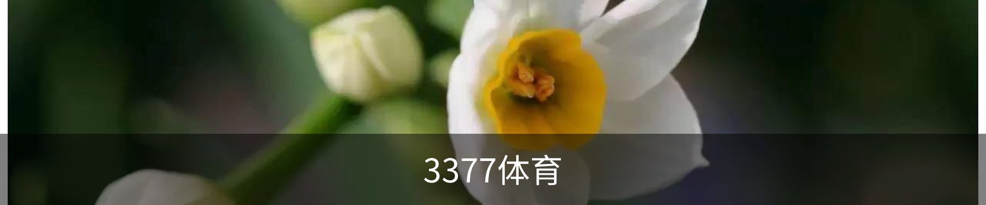3377体育(中国)官方网站-3377SPORTS
